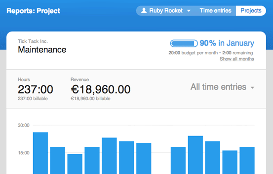 Project report: budget status of the current month