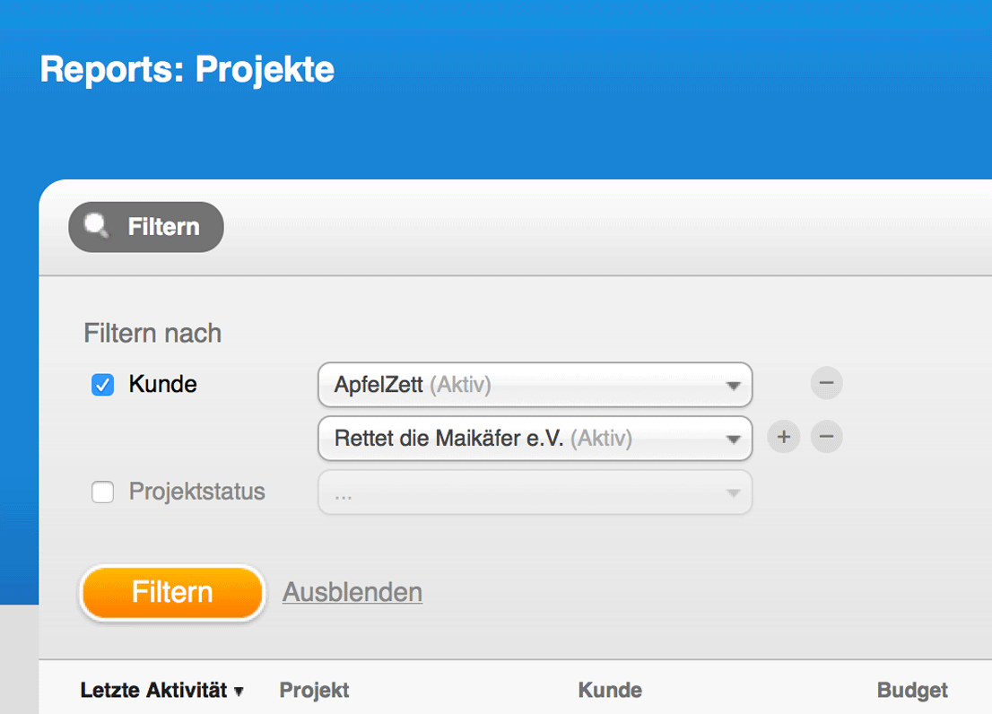 Filter-Mehrfachauswahl unter Reports - Projekte