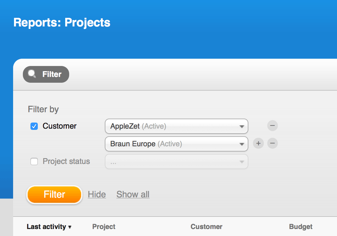Reports - Projects: multiple filters